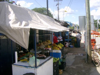 Fruit & Vegetable Market